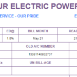 SEPCO Online Bill Check